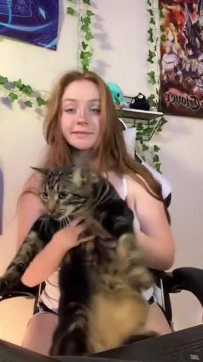 Cat 🐈