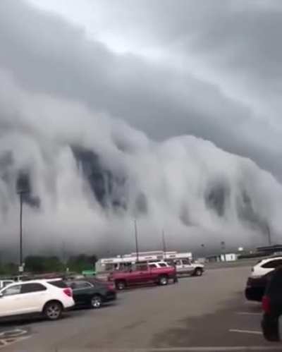 The Mist