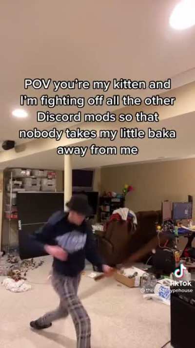 Master forgive me, I must protect my kitten