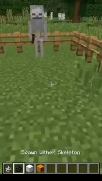 Minecraft...WTF?