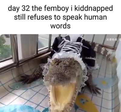 Losercity Femboy
