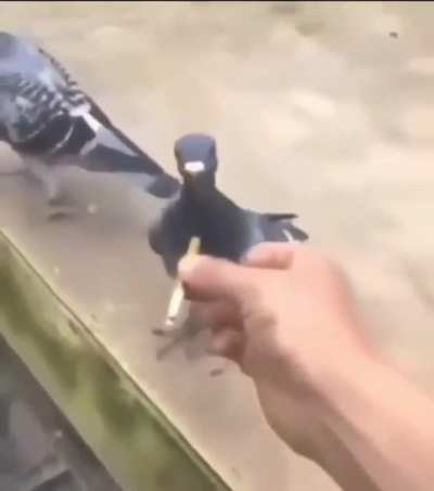 🥴🥴