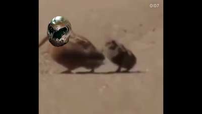 When the music kicks in