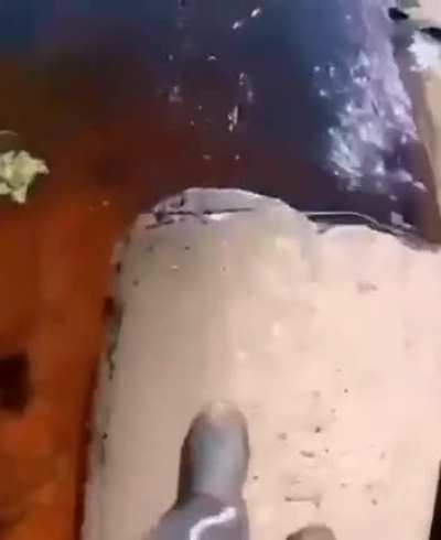 Where did it go?