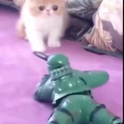 Veteran wunk