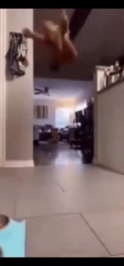 ragdolls.mp4