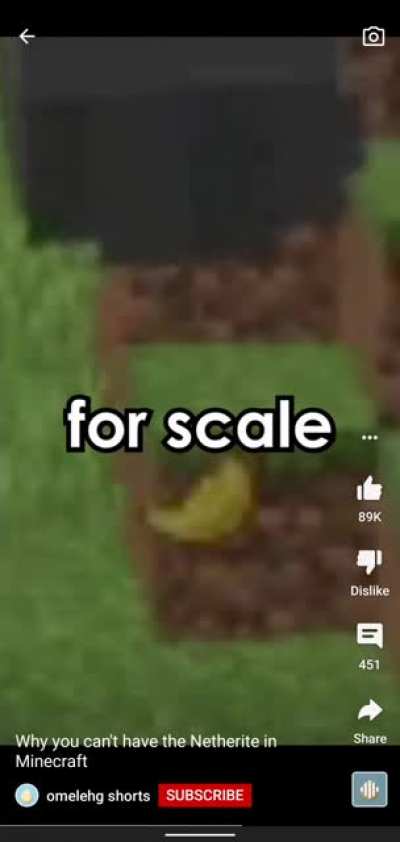 banana for scale lol!