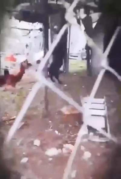 Hail satan