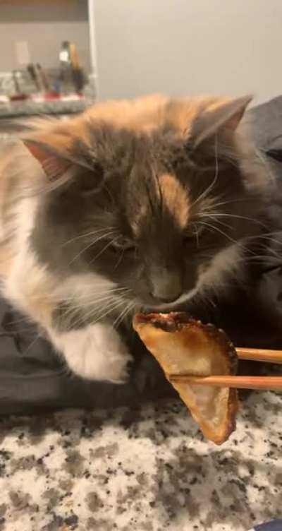 paws off