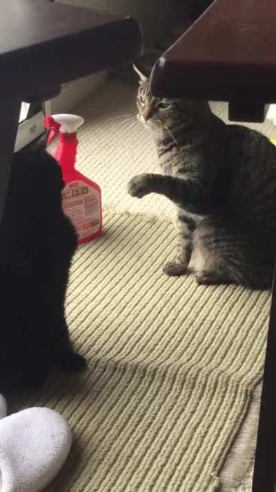 Social distancing slaps