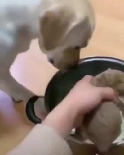 sacrifice