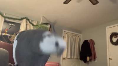 beep