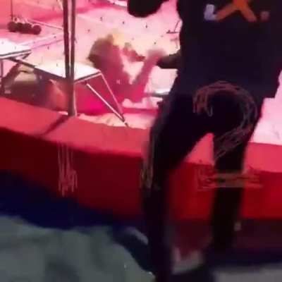 Circus lioness attacks trainer