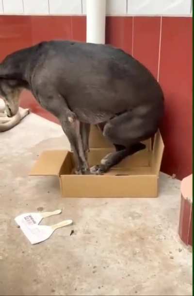 maybe maybe maybe