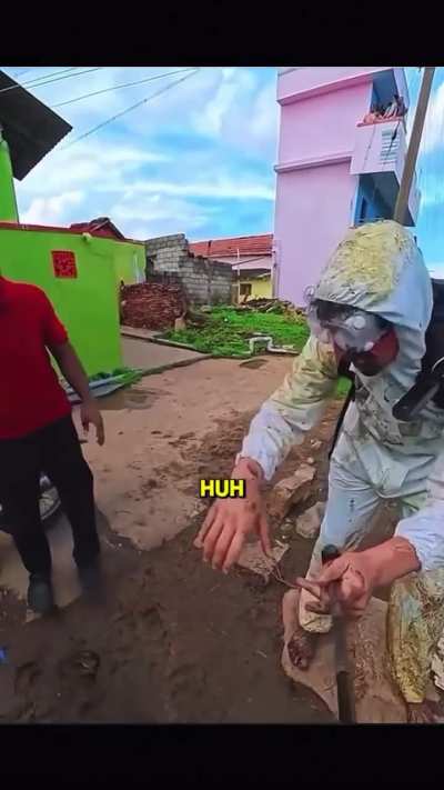 do not puke saar