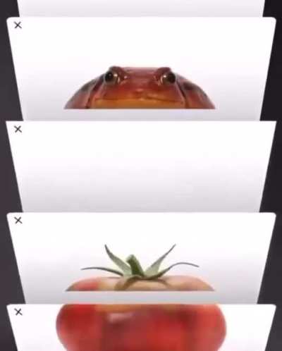 Froog