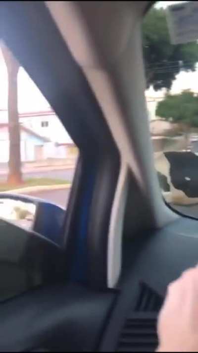 Wait for it..