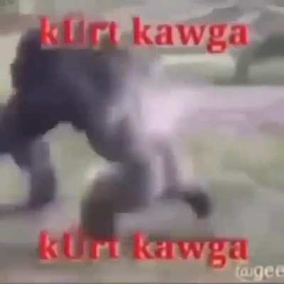 Vldrl<wbr>xşmel<wbr>fşclw<wbr>kr