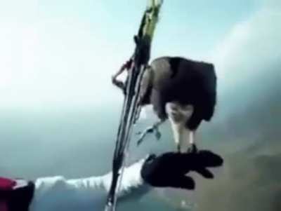 Some birds do pit stop in the air.