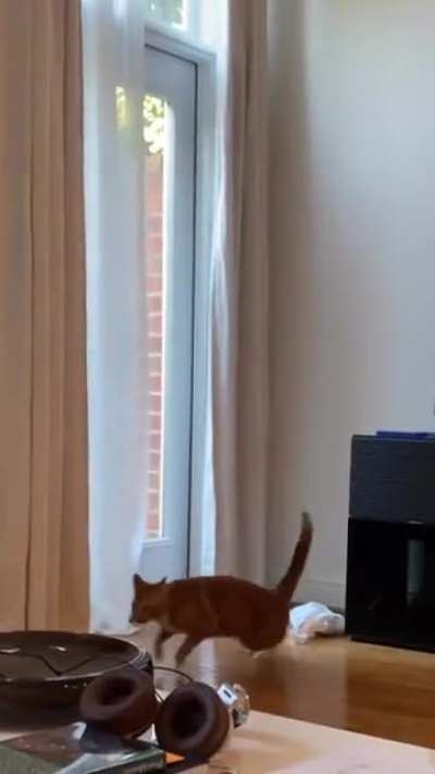 Double Jump!