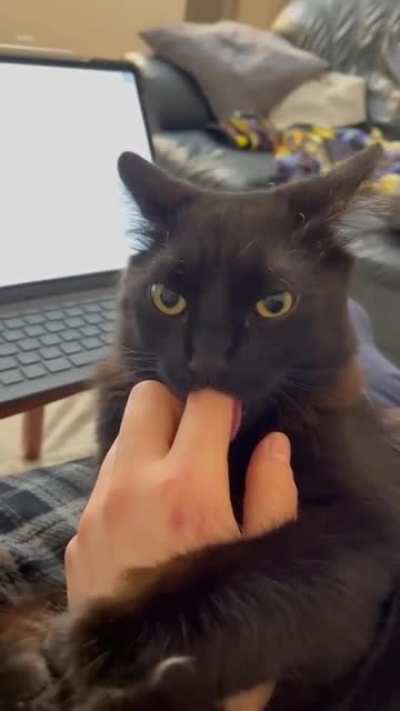 Suckling time