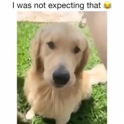 How's that human!!?