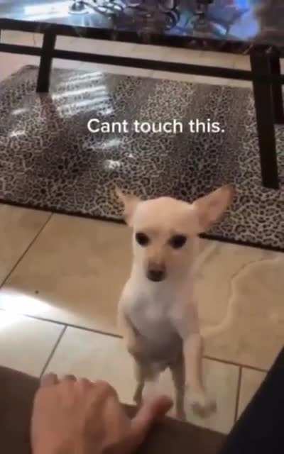 Can't touch this