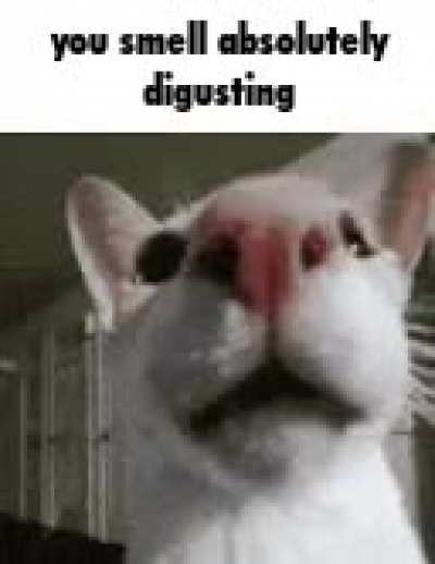 smelly