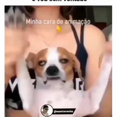 Minha animação