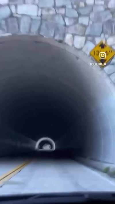 Literally a death trap