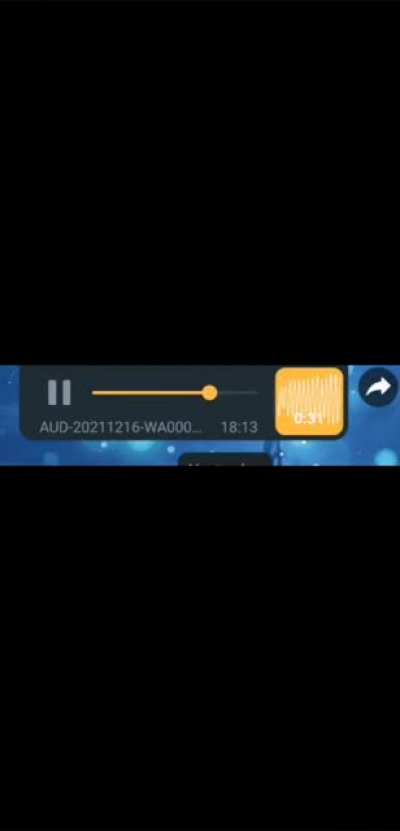 My German friend, who likes to record random voicemails of him doing random stuff, was really upset when he saw that his frozen salami pizza was missing the salami.