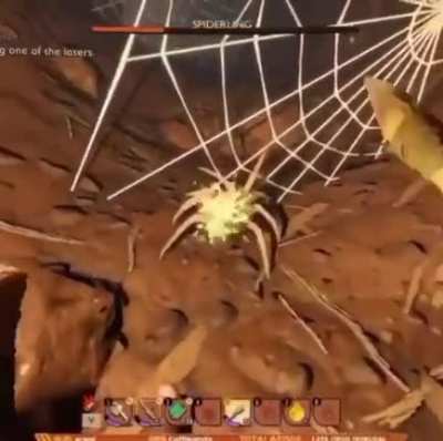 Momma Spider🕸💀
