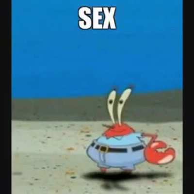 The secks