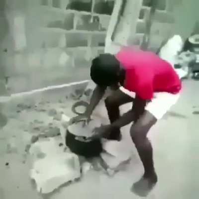Ei o cachorro