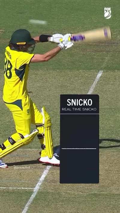 ZAMPA was like 