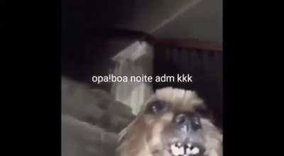 Opa Ademir