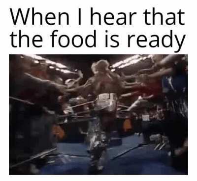WWE memes aren't dead, right?