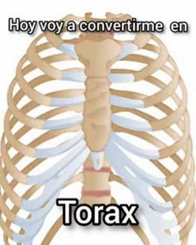 me quiero convertir en toxax :3