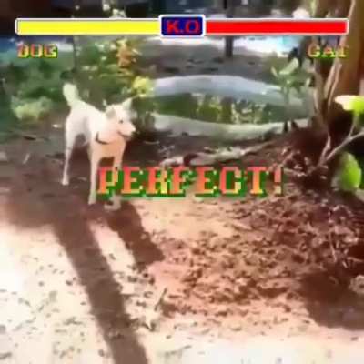 Perfect!
