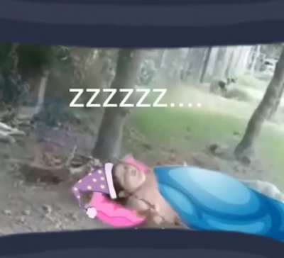go to sleep chat if u haven't PepeSleep