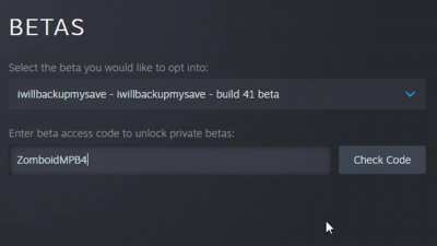 Me Trying to Get Build 41 Multiplayer Early