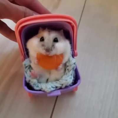 Basically a baby