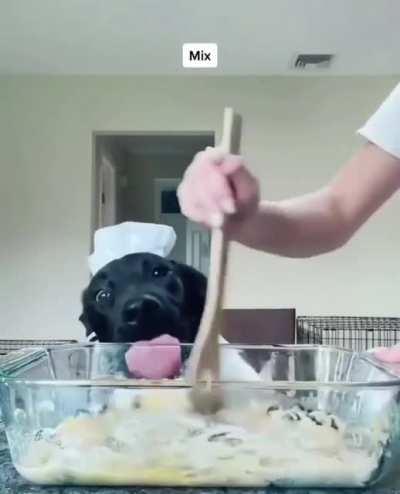 Making some delicious pupcakes