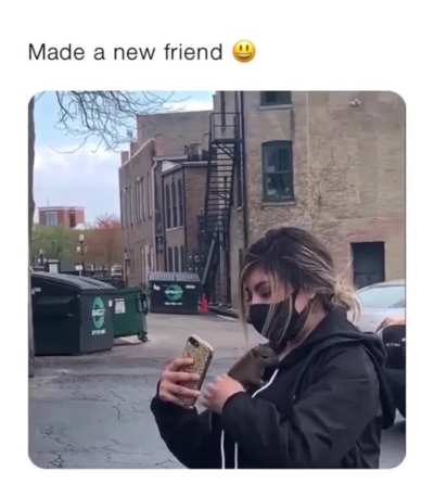 A new friend
