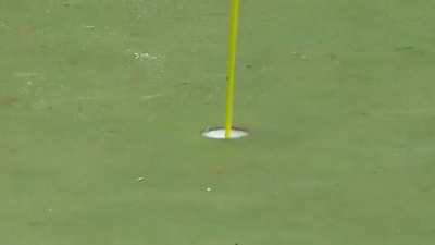 This hole in one