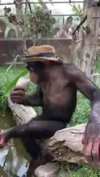 Chill monke