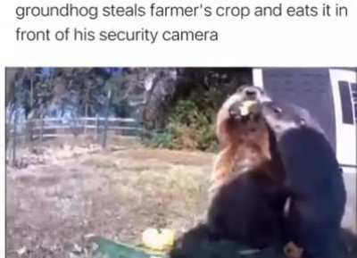 🗿