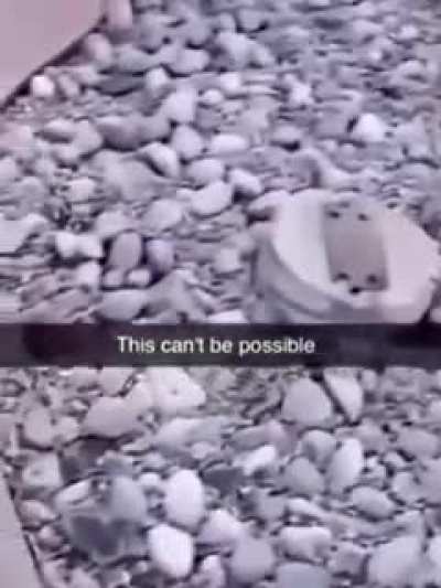 Hole in one