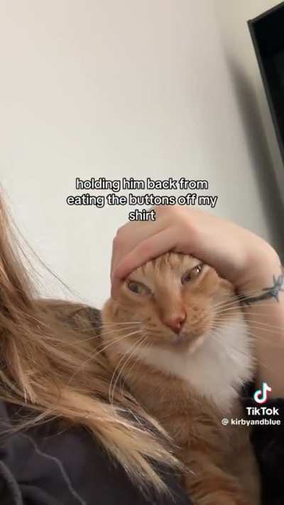 he yearns for the buttons