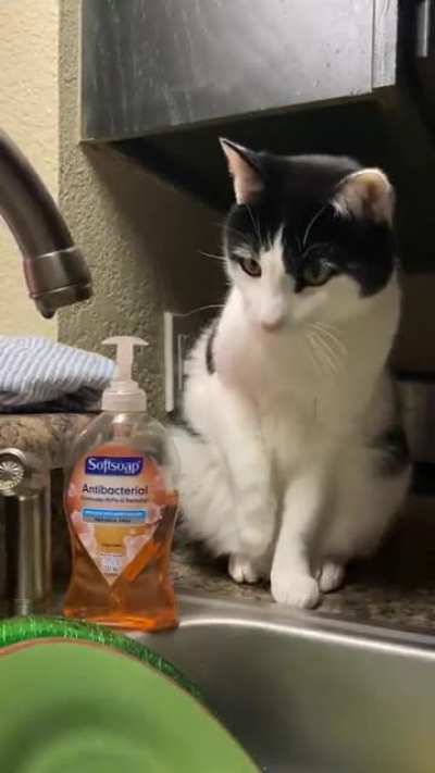Tap the Tap